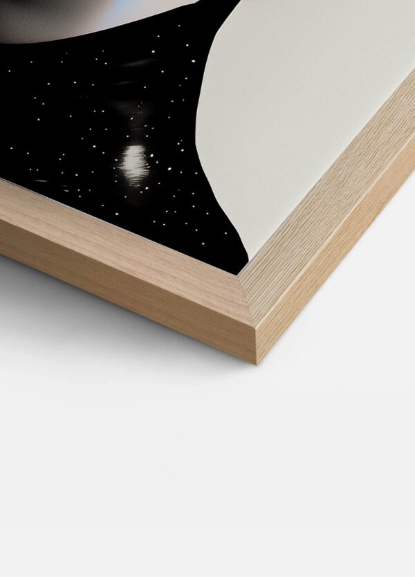 Art 12 - Image 3